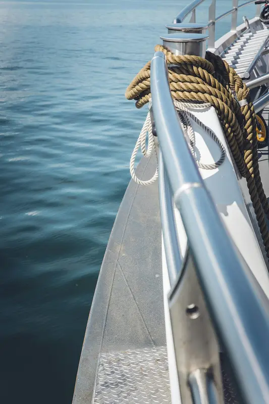 Aegir.Boats Premium Domain